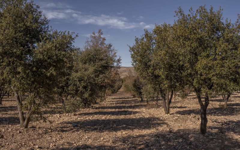 Herrería de Esteban - Casa Rural Teruel