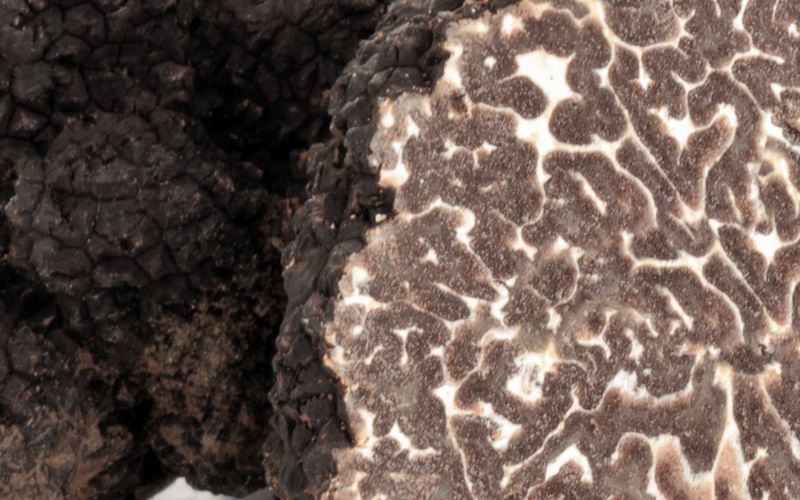 Herrería de Esteban - Casa Rural Teruel