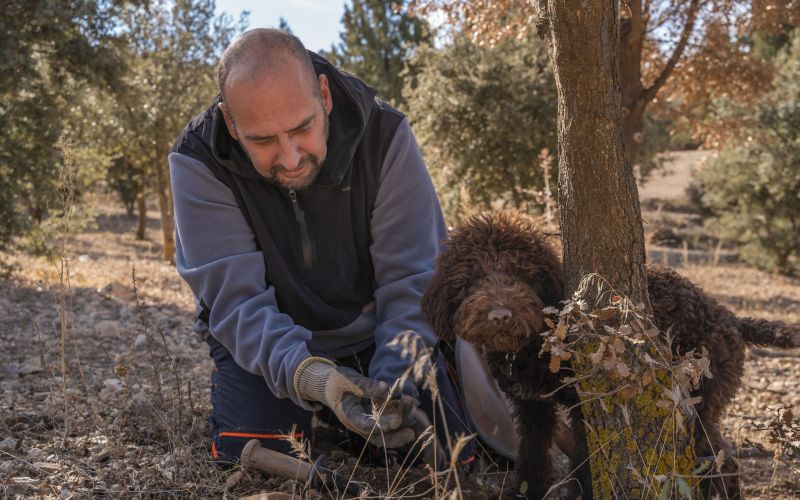 Herrería de Esteban - Casa Rural Teruel