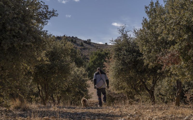Herrería de Esteban - Casa Rural Teruel