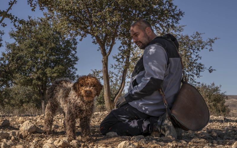 Herrería de Esteban - Casa Rural Teruel