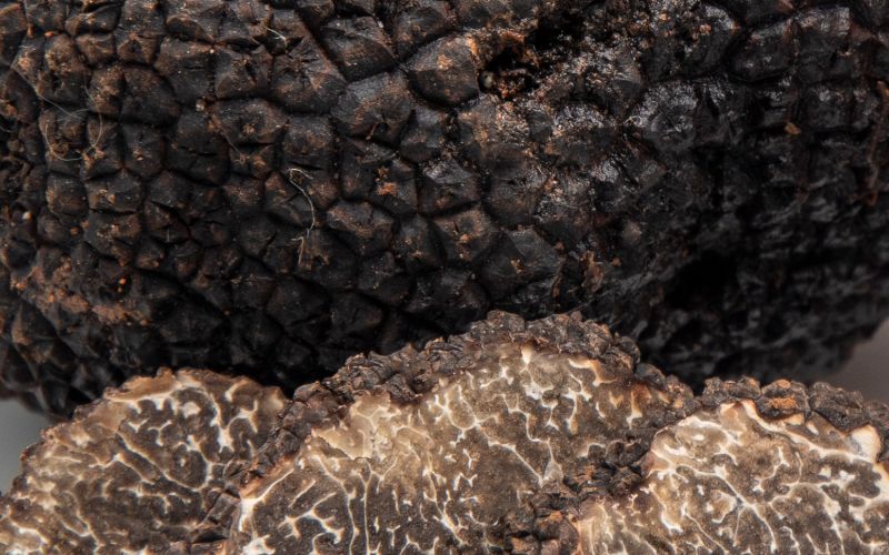 Herrería de Esteban - Casa Rural Teruel