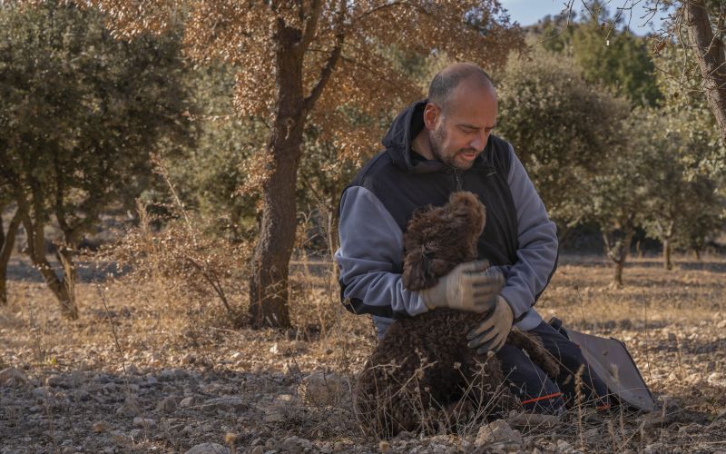 Herrería de Esteban - Casa Rural Teruel