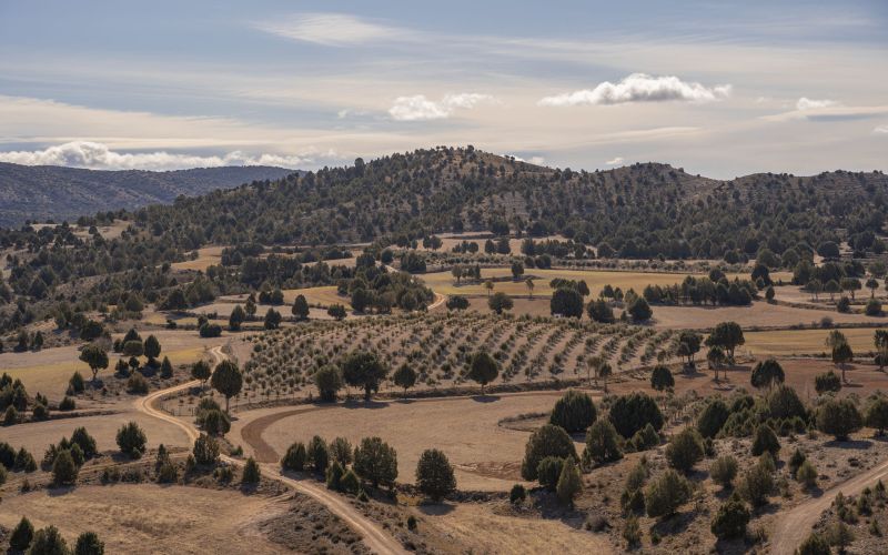 Herrería de Esteban - Casa Rural Teruel