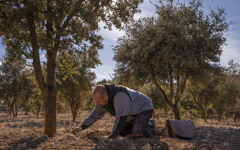 Herrería de Esteban - Casa Rural Teruel